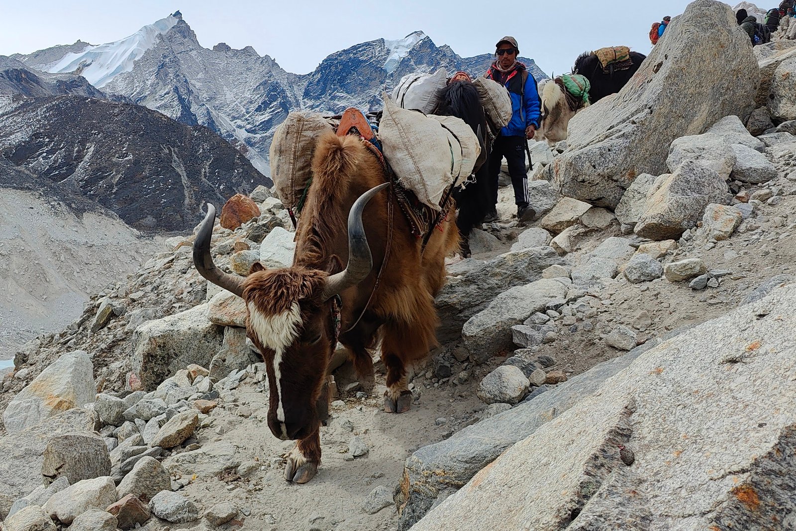 Mountain Trek Gallery Image 1